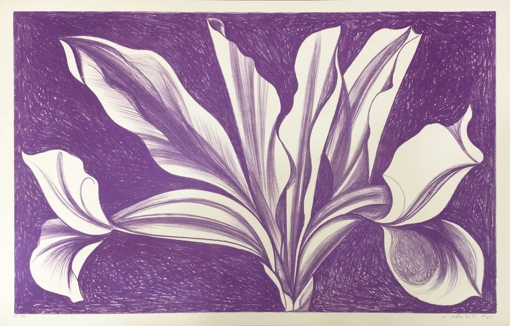 Rilievo Nesbitt - IRIS