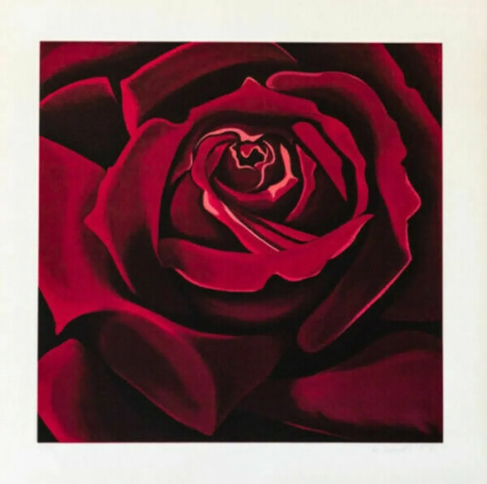 Serigrafia Nesbitt - Rose