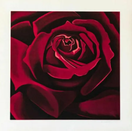 Serigrafia Nesbitt - Rose