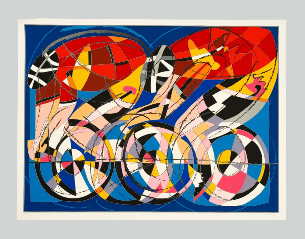 Serigrafia Nespolo - Biciclette