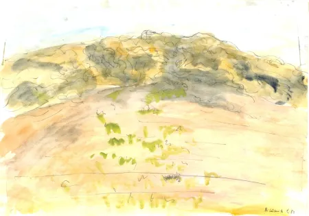 Non Tecnico Niederreuther - Bei Lüderlitz