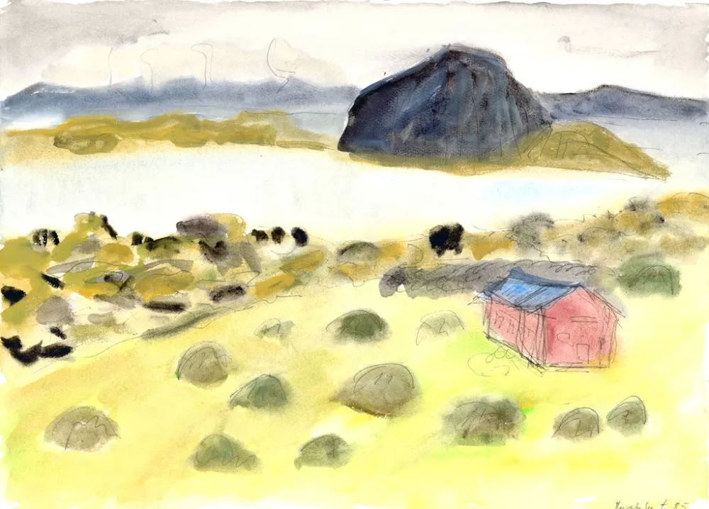 Non Tecnico Niederreuther - Myvatn See (Lake Myvatn, Iceland)