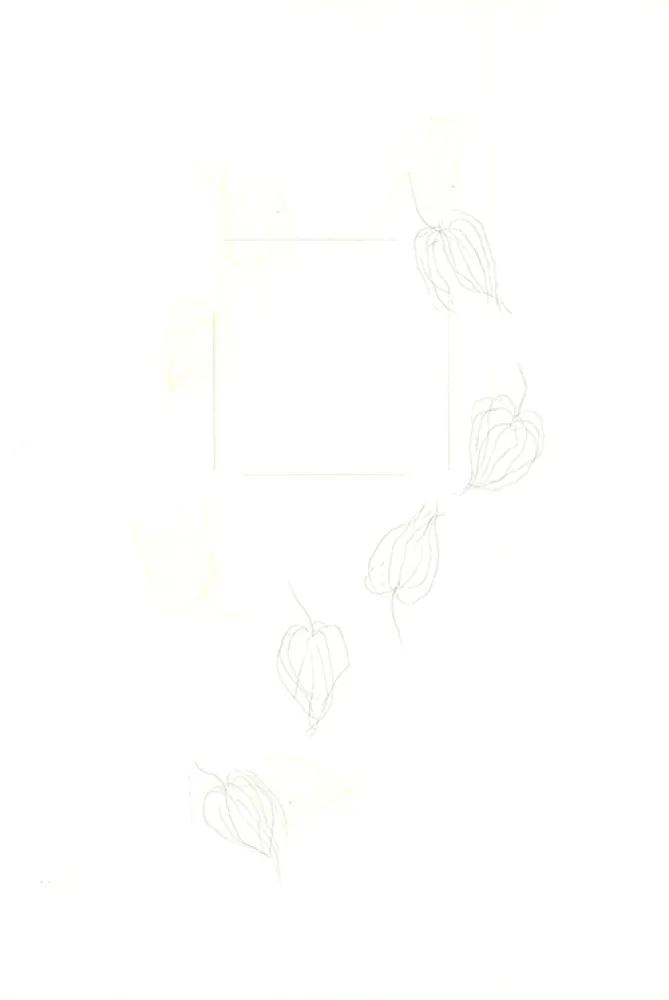 Incisione Nishikawa - Physalis