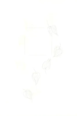 Incisione Nishikawa - Physalis