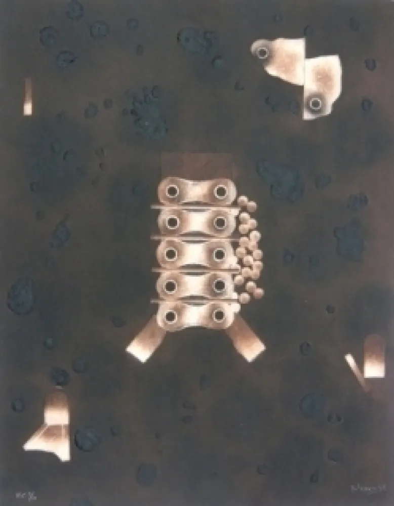 Incisione Nissen - Mariposa obsidiana 4