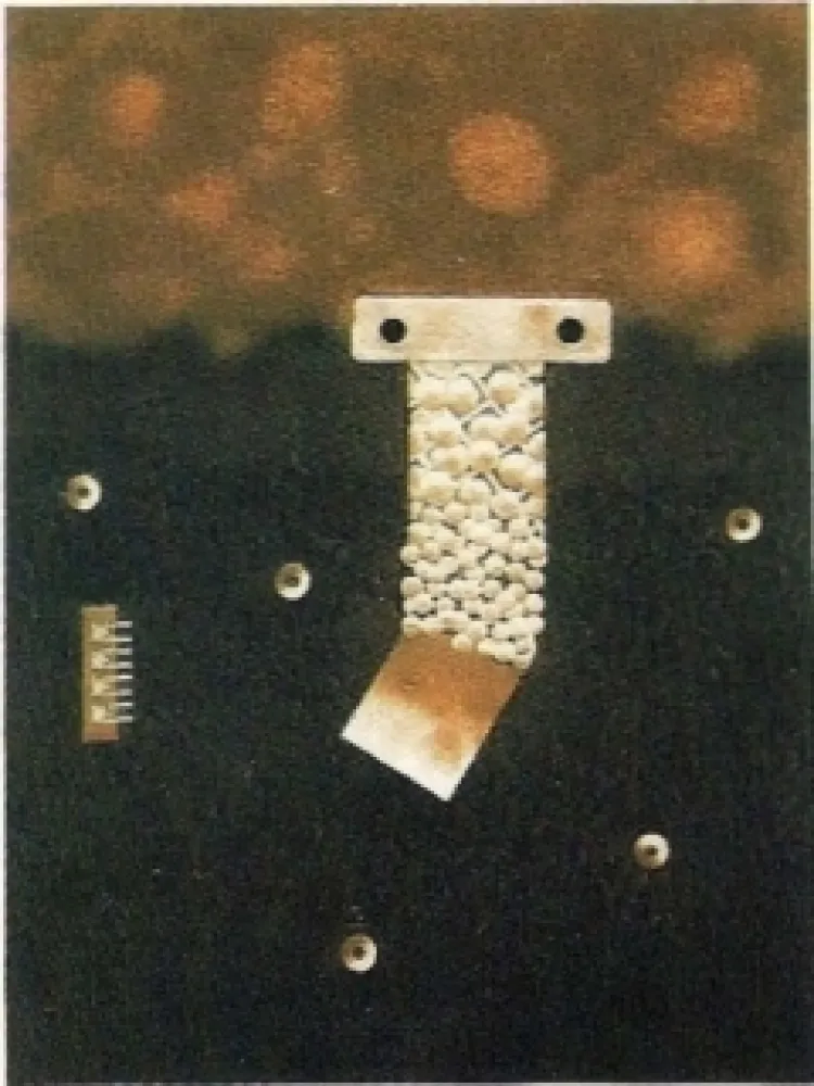 Incisione Nissen - Mariposa obsidiana 6