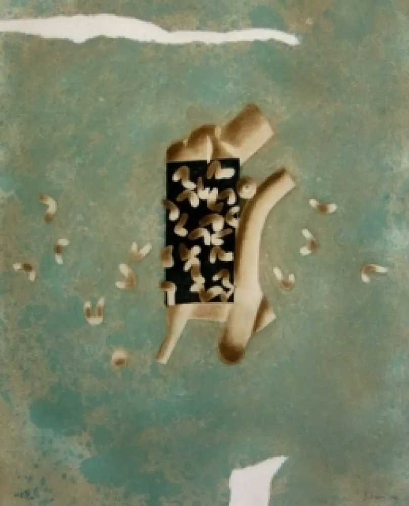 Incisione Nissen - Mariposa obsidiana 7