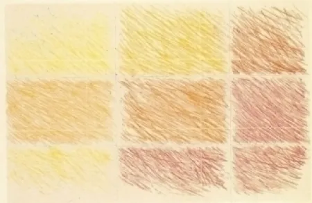 Acquaforte E Acquatinta Noland - Marron