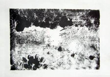 Litografia Novelli - Senza titolo