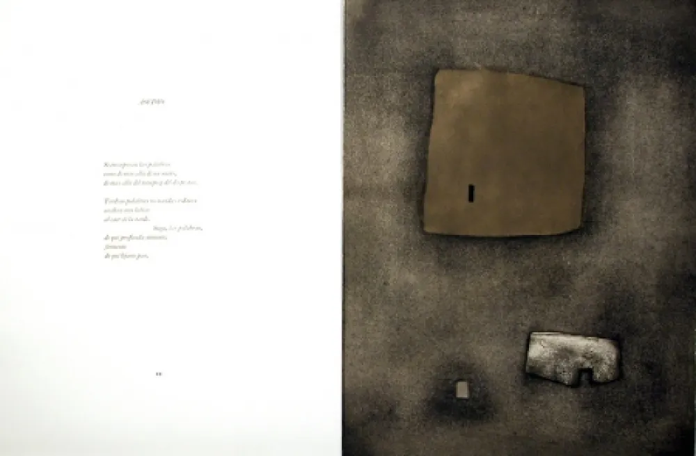 Libro Illustrato Nóvoa - Alén