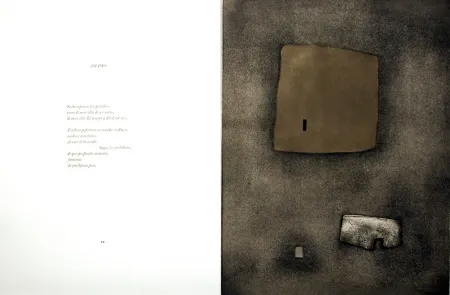 Libro Illustrato Nóvoa - Alén