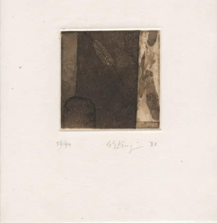 Libro Illustrato Ochiai - Haiku