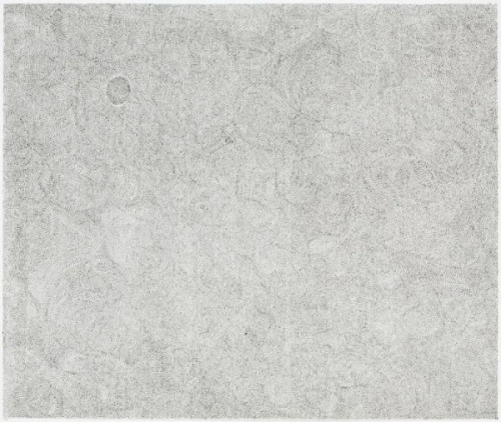 Incisione Ofili - Untitled