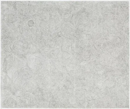 Incisione Ofili - Untitled