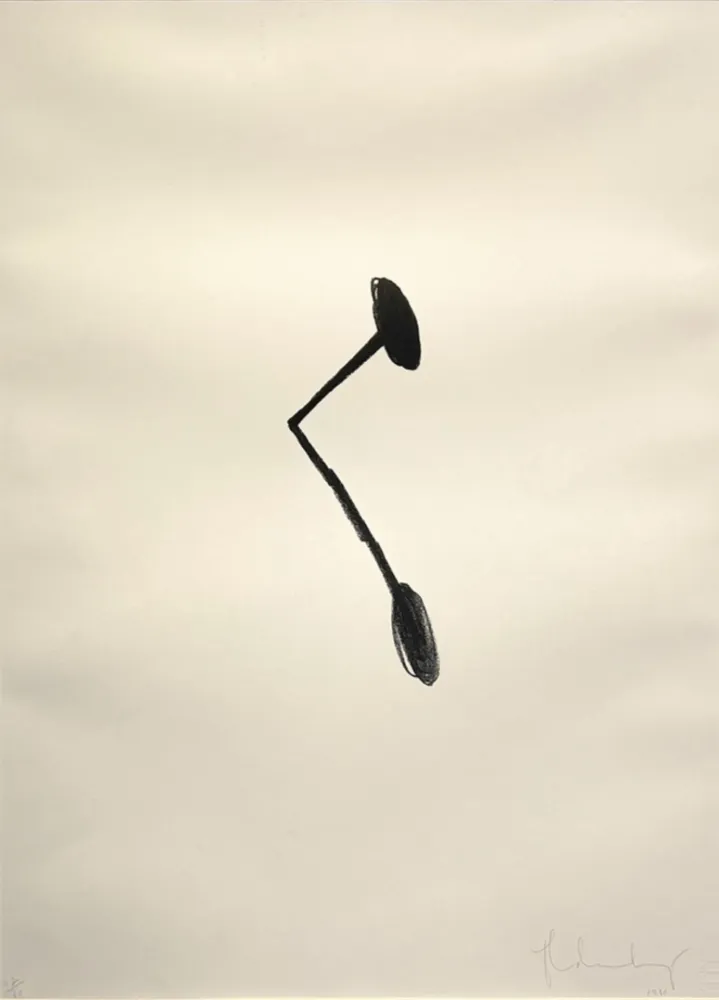 Litografia Oldenburg - Braque's Nail