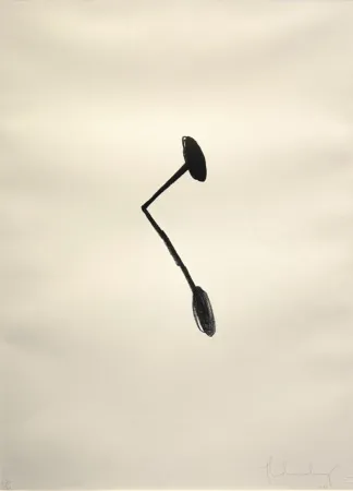 Litografia Oldenburg - Braque's Nail