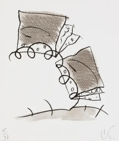 Litografia Oldenburg - Notebook Torn in Half