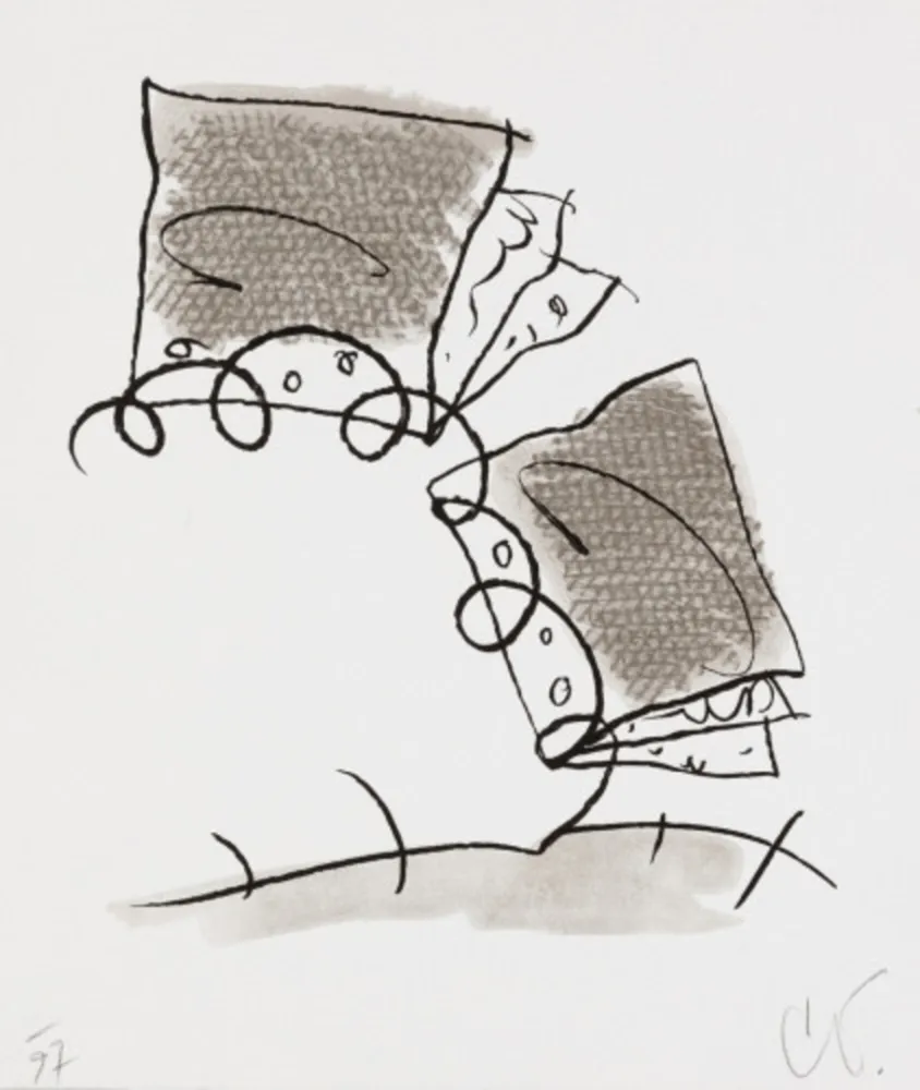 Litografia Oldenburg - Notebook Torn in Half