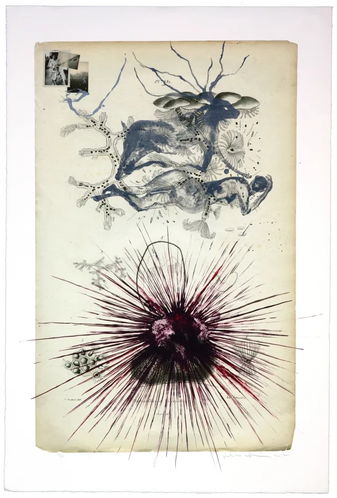 Litografia Olguin - Sans titre