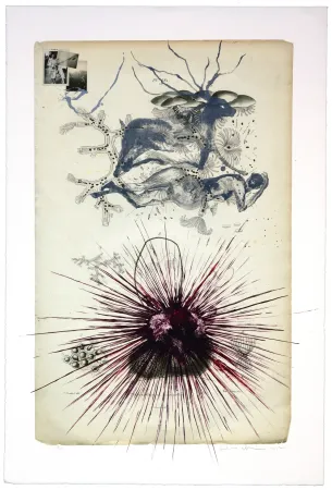 Litografia Olguin - Sans titre