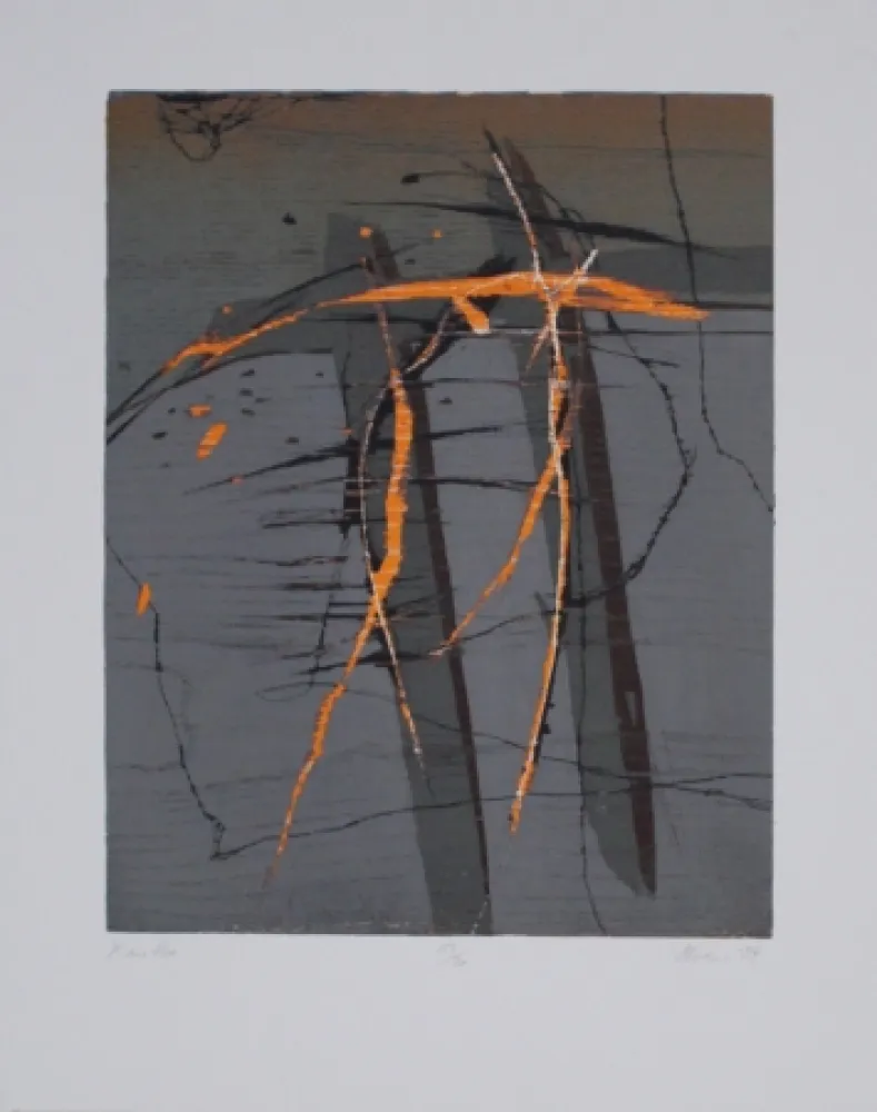 Incisione Su Legno Olschewski - Xantho