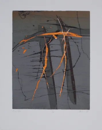 Incisione Su Legno Olschewski - Xantho