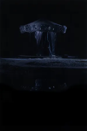 Grafica Numerica Op De Beeck - Merry-go-round