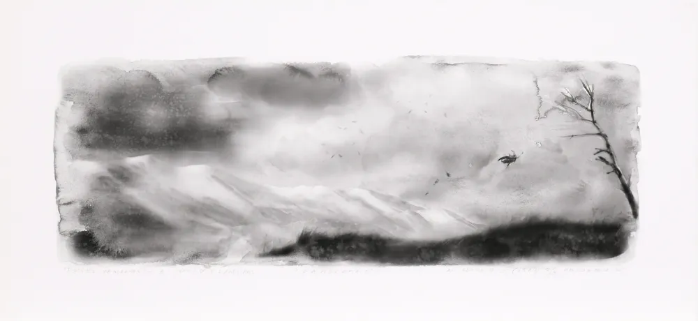 Grafica Numerica Op De Beeck - Panorama 2