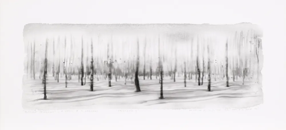 Grafica Numerica Op De Beeck - Panorama 5