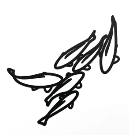 Non Tecnico Opie - Carp 1, from Nature 1 Series