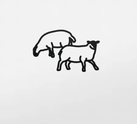 Non Tecnico Opie - Sheep 2, from Nature 1 Series