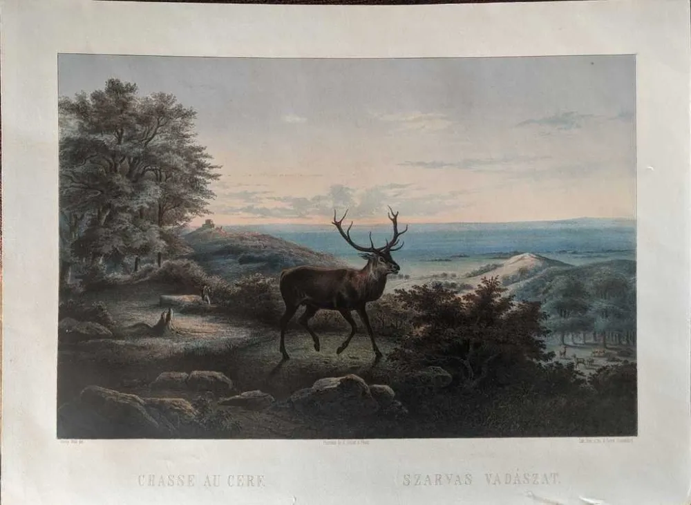 Non Tecnico Orczy - Chasse au cerf / Szarvas vadászat