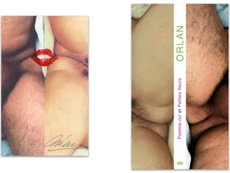 Libro Illustrato Orlan - L'art en écrit