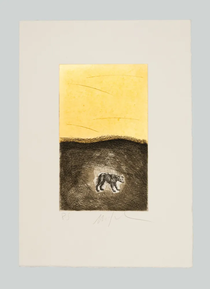 Acquaforte E Acquatinta Paladino - Cane