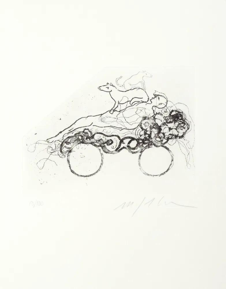 Acquaforte Paladino - Composition