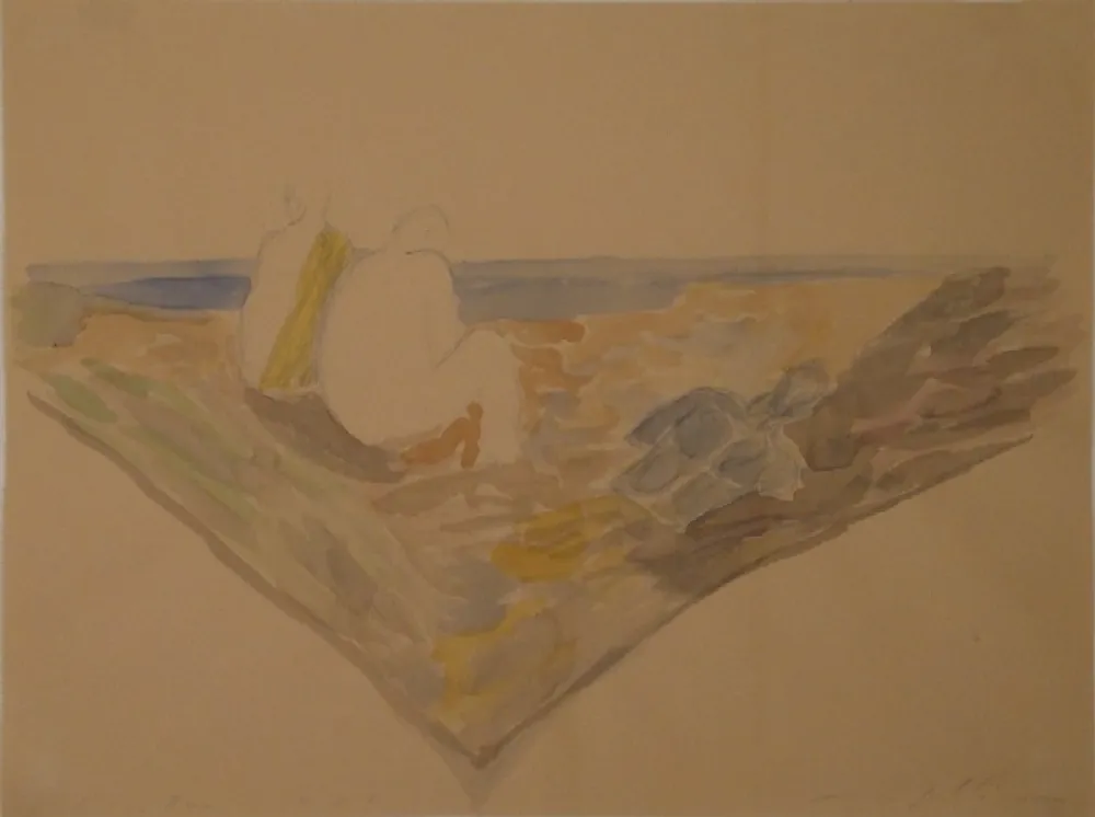 Non Tecnico Paladino - L’isola