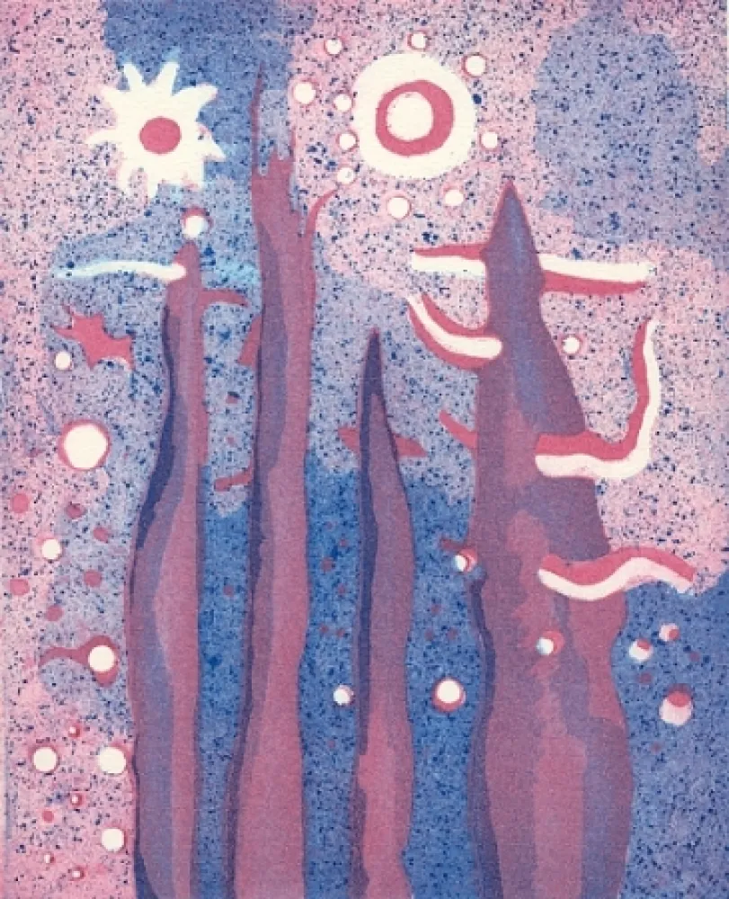 Libro Illustrato Paladino - Piano-sequenza