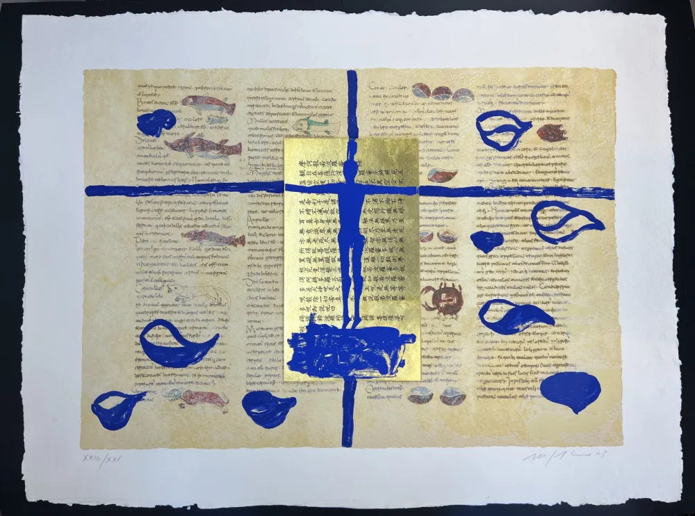 Multiplo Paladino - RABANUS MAURUS - De Universo 6