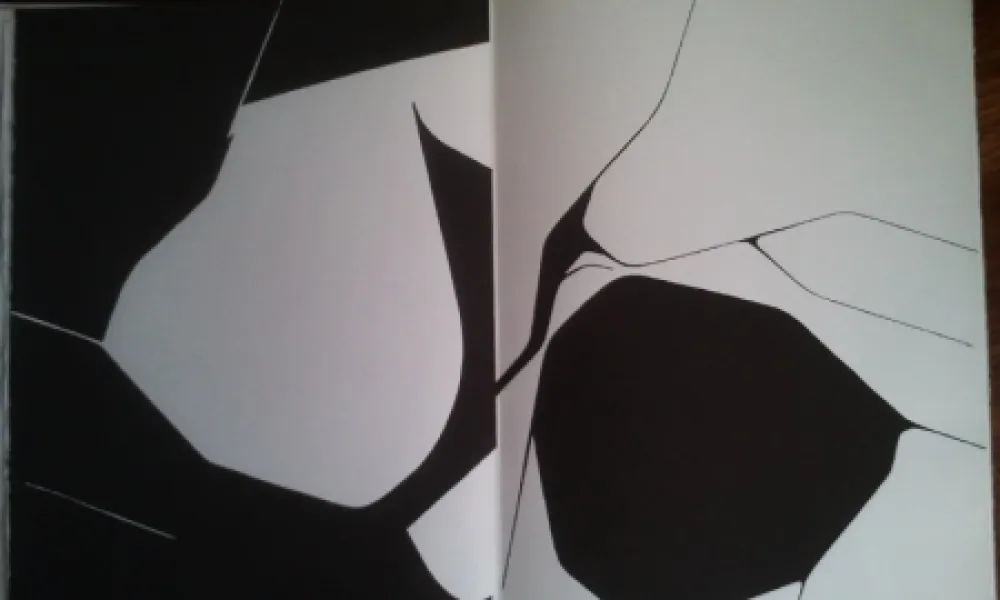 Libro Illustrato Palazuelo - DLM 137 LUXE.