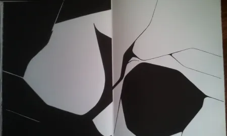 Libro Illustrato Palazuelo - DLM 137 LUXE.