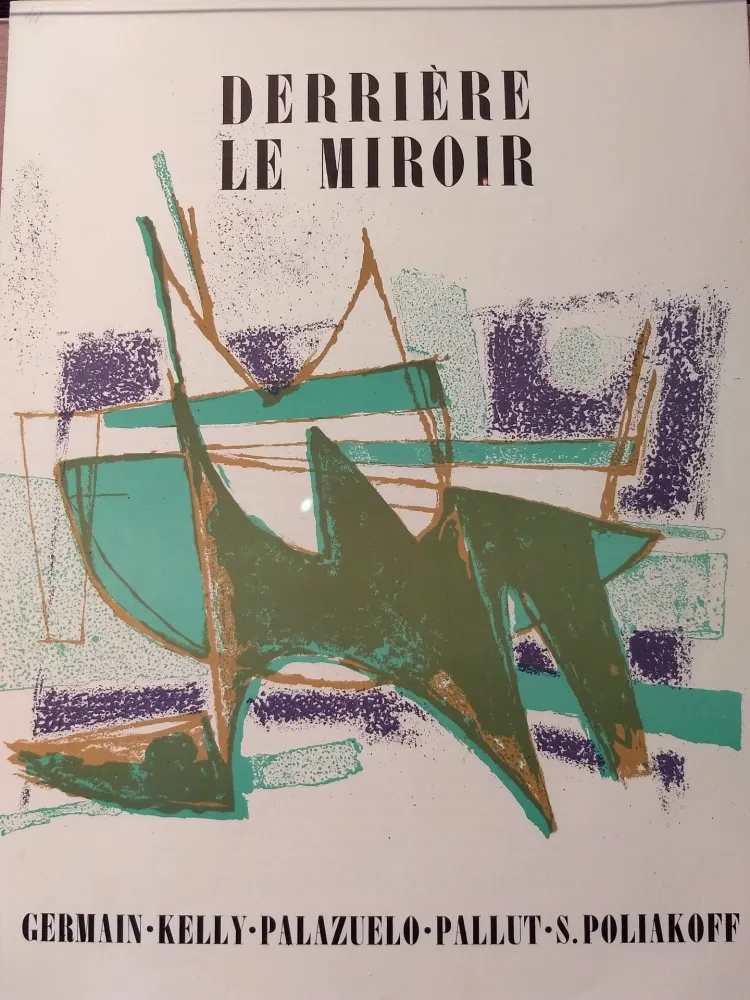 Libro Illustrato Palazuelo - DLM 41