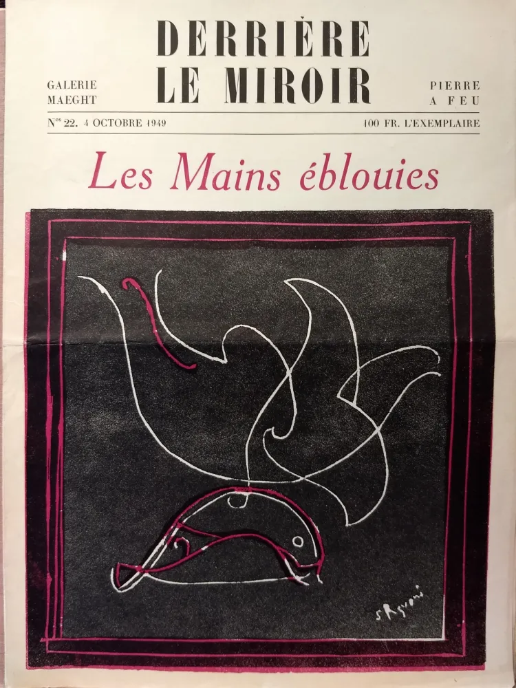 Libro Illustrato Palazuelo - Dlm22