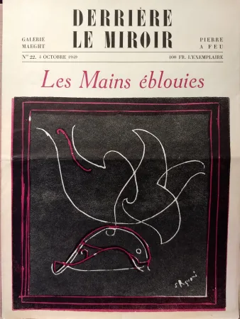 Libro Illustrato Palazuelo - Dlm22