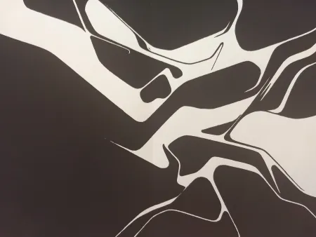 Libro Illustrato Palazuelo - Edition Tete DLM 137