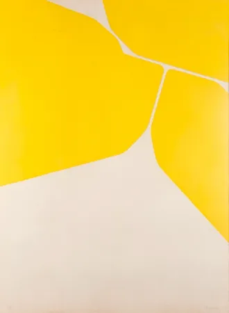 Acquatinta Palazuelo - Gótica II