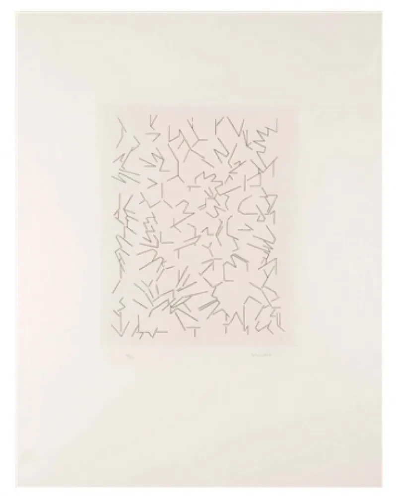 Acquaforte Palazuelo - Script