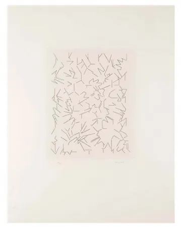 Acquaforte Palazuelo - Script