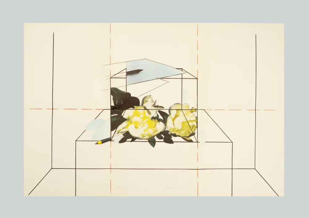 Litografia Paolini - Come è / Come se