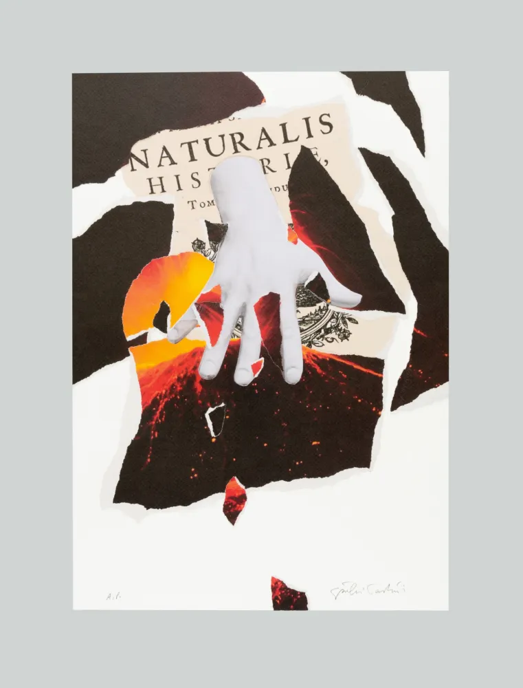 Litografia Paolini - Naturalis historia