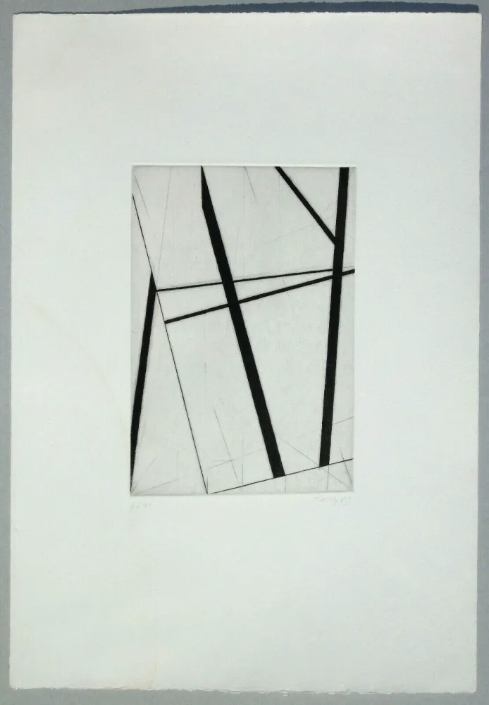 Incisione Pardi - Composizione